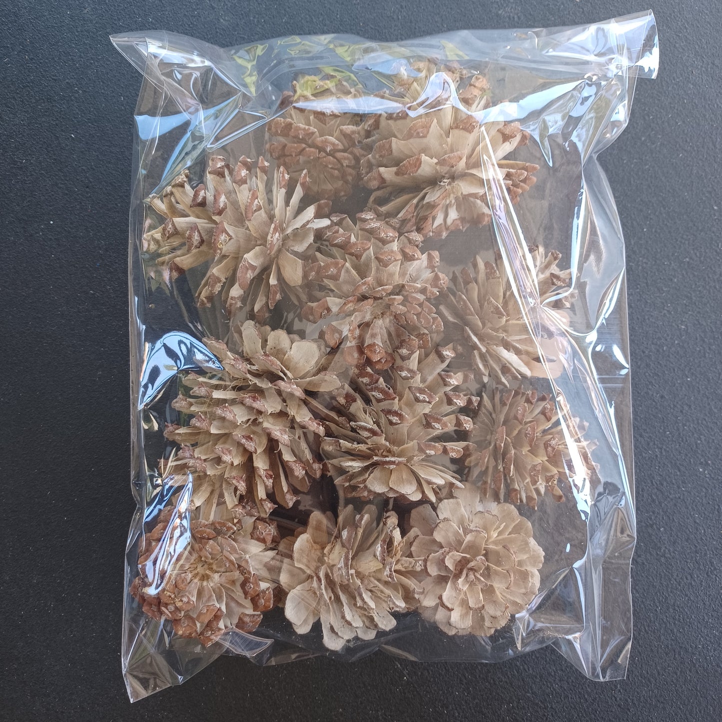 Bleached Pinecones